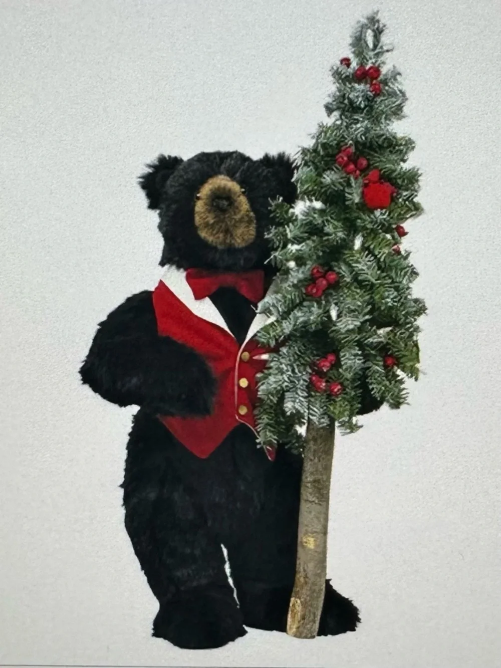 Ditz Designs Black Bear With Vest And Bow Tie 24" - Picture 16 of 16